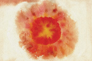 Supernova — Etikett
